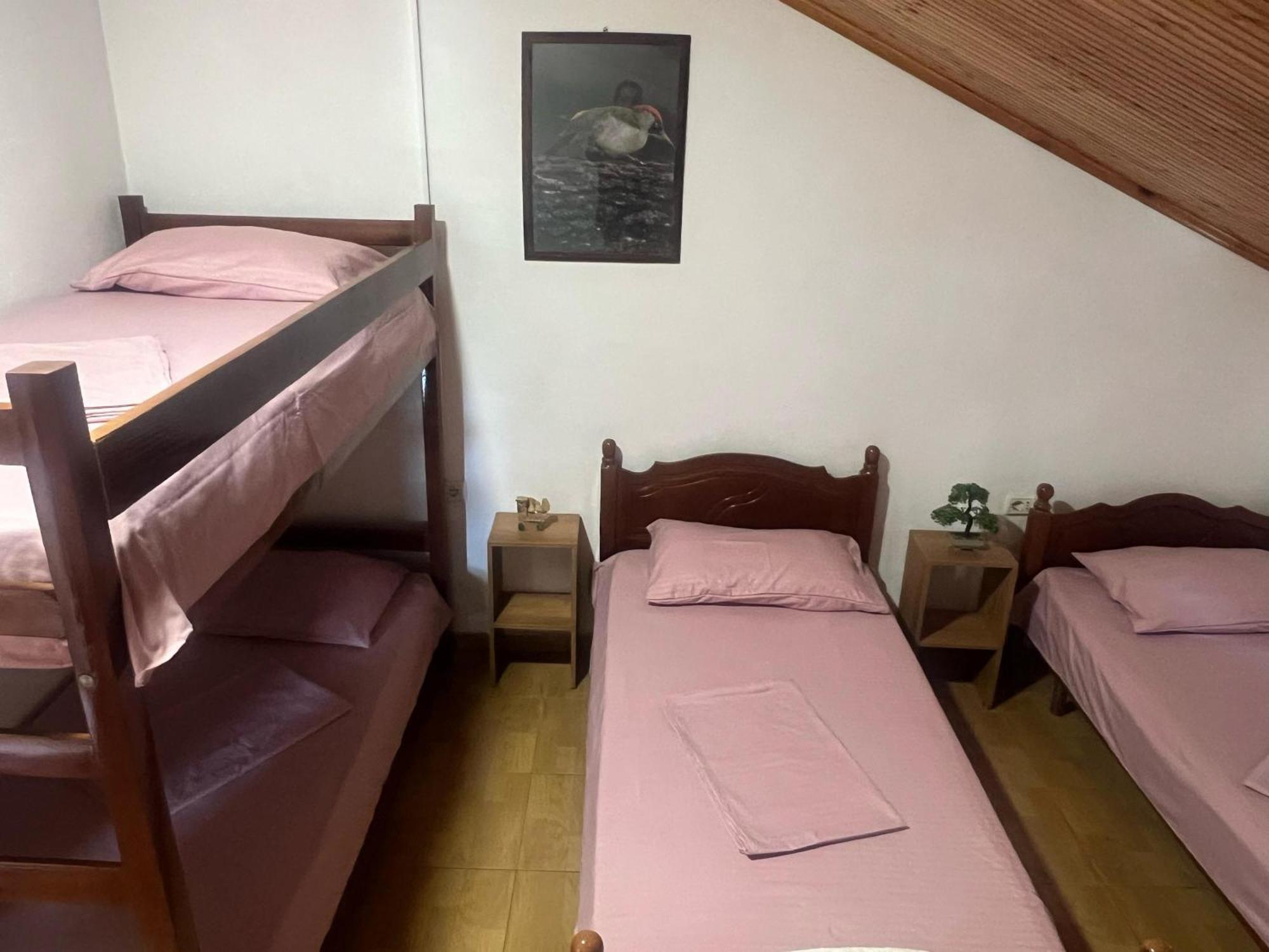 Happy Corner Guest House Shkoder Exterior photo